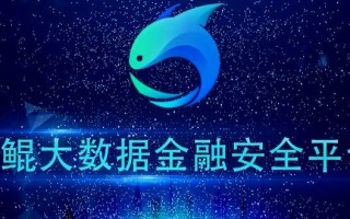 大数据共享平台定义