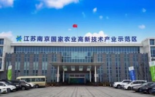 收集和整理数据