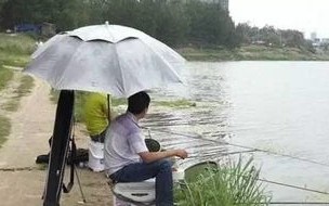 徒有羡鱼情的成语