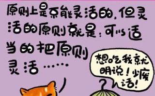 喵言猫语宠物：与你的猫咪沟通的秘诀