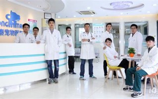 杭州宠物公立医院