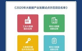 国家大数据局局长
