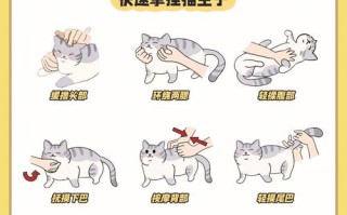 宠物美容剪刀手法