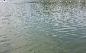 临海垂钓基地