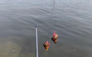 黄河垂钓的有什么技巧