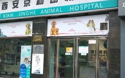1.西安市宠物医院总览