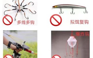 垂钓怎么教