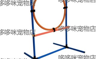 滨江宠物医院