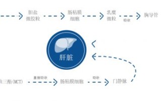 儿童营养不良大数据分析与应对