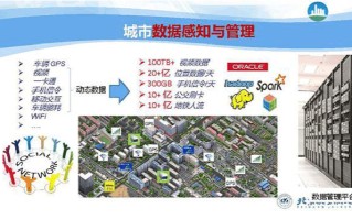 大数据时代样本数据包括