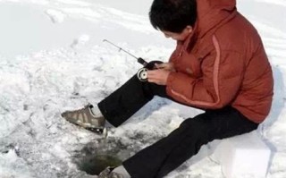 游泳和垂钓：两种不同的水上活动
