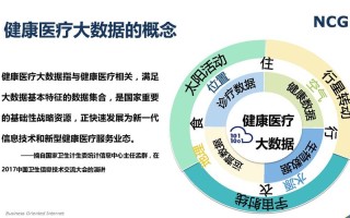 国家健康医疗大数据重点项目