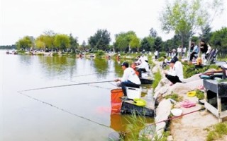 天津市内垂钓