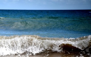 探索知识的海洋，2023年最佳百科类APP推荐