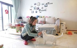 在家养宠物的思考作文英语