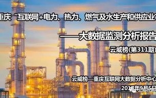 青海电力大数据分析中心主任