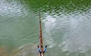 锦州钓鱼不花钱的地方