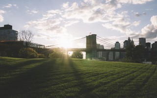 探索胡杨林社区，一个充满活力的绿色家园