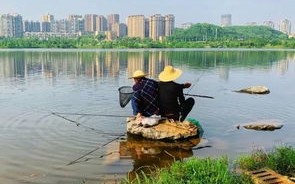 清水如何钓鱼