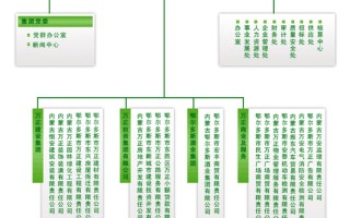浙江大数据公司章程最新