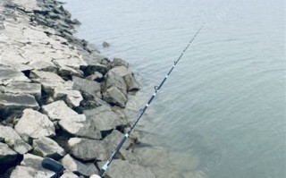 上海浦东钓场