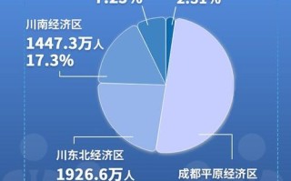 成都市大数据股份有限公司