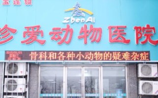 大连太康宠物医院地址