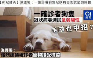 家养宠物会得狂犬病吗