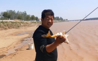 快乐垂钓个小格简介