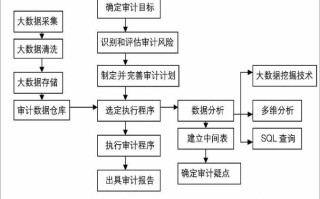 大数据审计案例分析