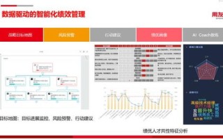 大数据的研究和发展计划