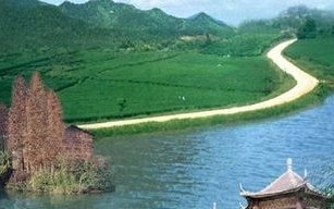 垂钓园如何宣传