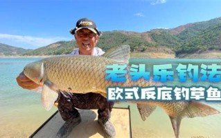 垂钓之神免费听