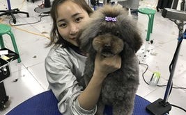 奥格传送门训练师