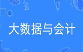 大数据与会计就业方向