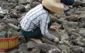 芜湖三山老兵垂钓