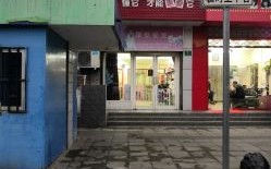 东平县宠物市场