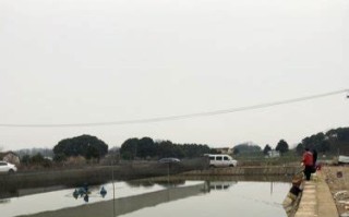 马陆钓鱼的地方有哪些