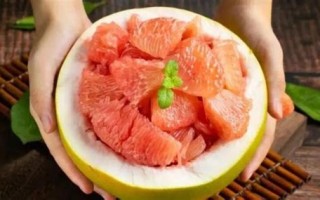 宠物可以吃柚子吗