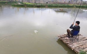 垂钓池怎么设计图片