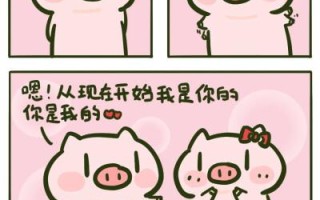 PP宠物机小猪玩法介绍