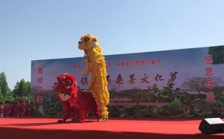 六巷乡人大：宣传两部条例，助推乡村振兴