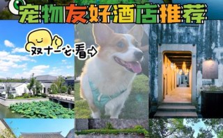 杭州宠物友好酒店
