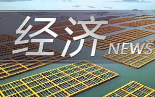 税务大数据查几年的记录