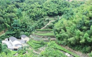 饶平海山浮任族谱