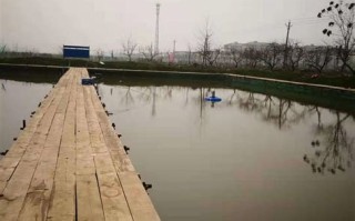 济南周边免费垂钓场所