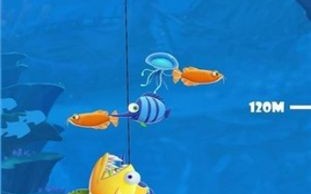 海洋钓鱼视频欣赏