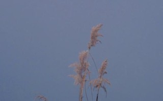时光深处的静谧...