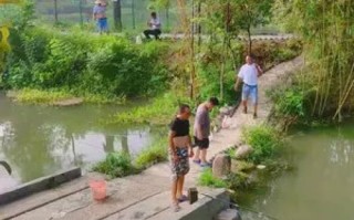 做垂钓园方案
