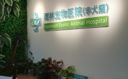 上海青浦宠物店